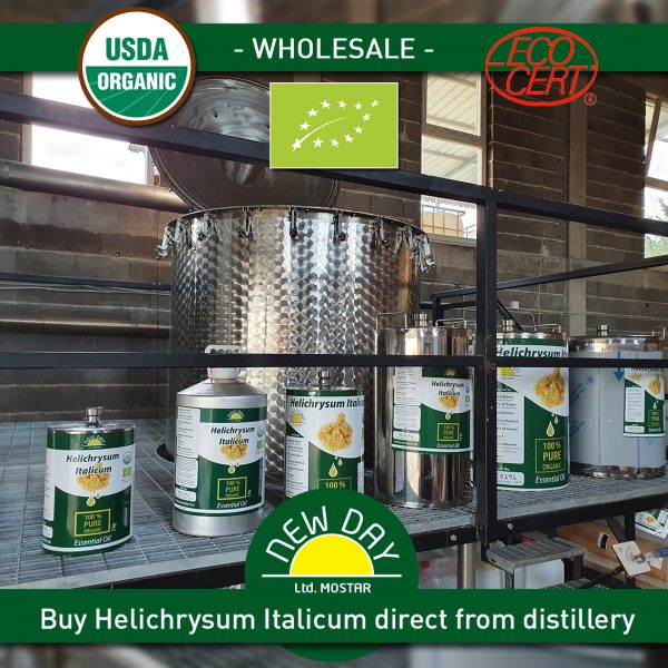 Buy Helichrysum organic wholesale