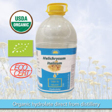 Helichrysum hydrolate novi dan