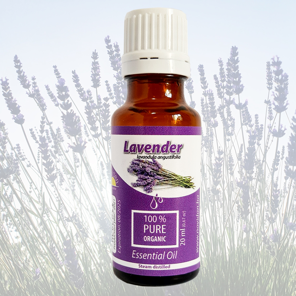 Lavavandula angustifolia Lavender essential oil