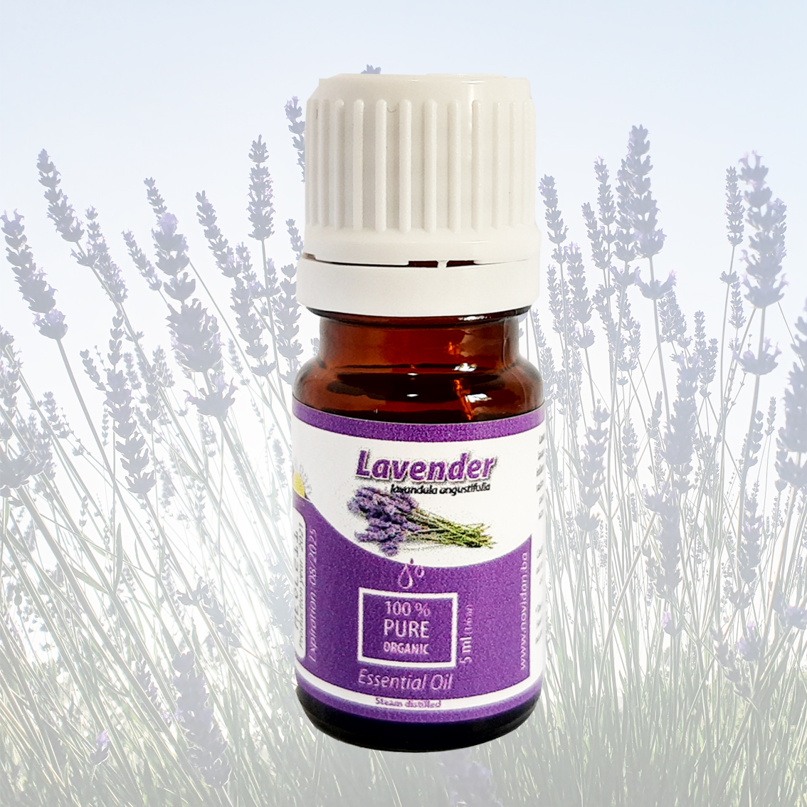 Lavandula angustifolia Lavender essential oil
