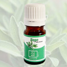 Salvia officinalis Sage essential oil