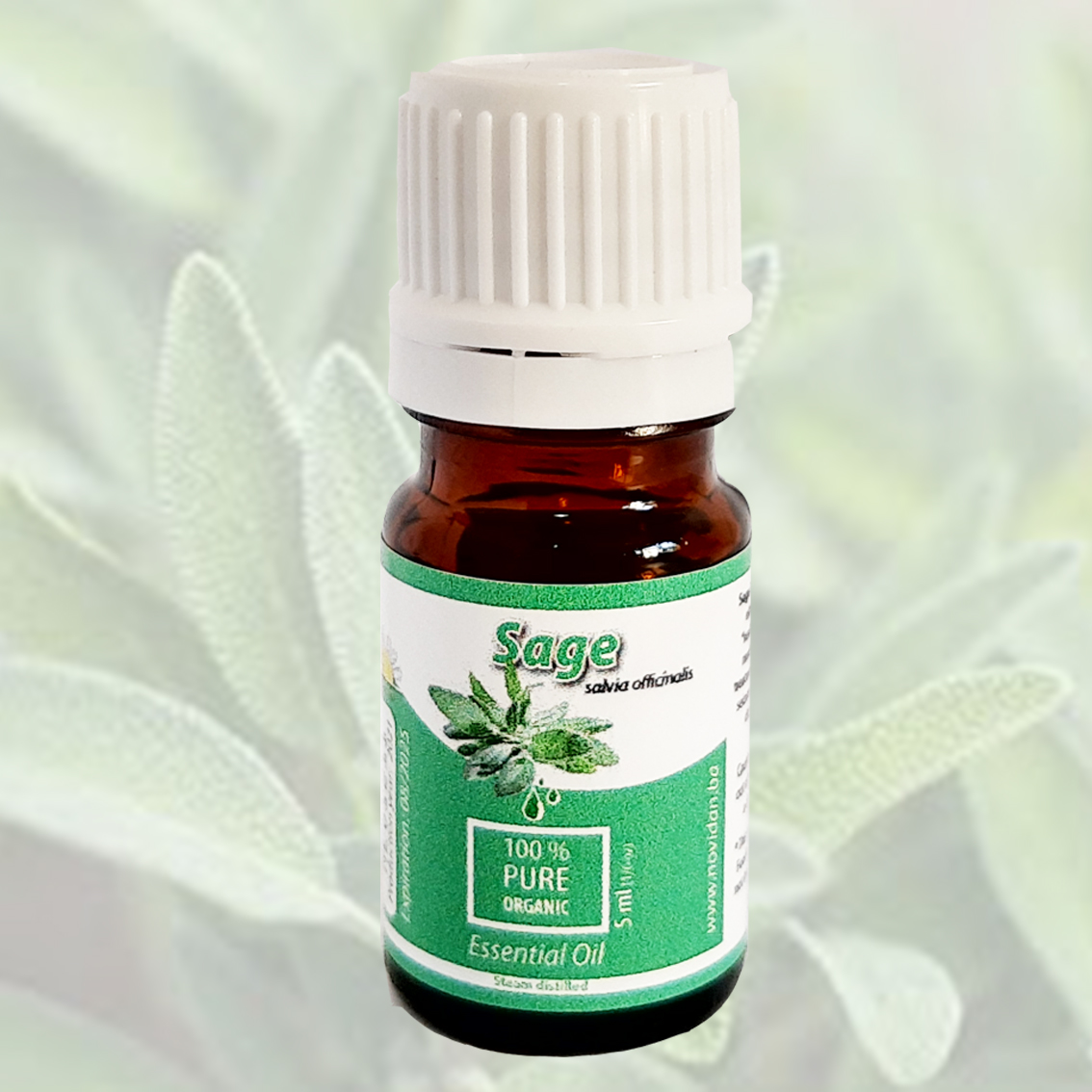 Salvia officinalis Sage essential oil