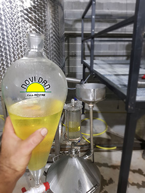 helichrysum-italicum-oil-in-distillery