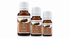Pynus sylvestris bottles 5,10,20 mL